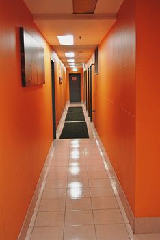 Jackaroo Hostel Sydney - Northern Rivers Accommodation 13