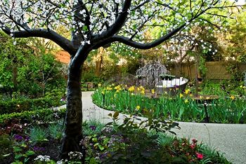 Elizabethan Lodge - Northern Rivers Accommodation 1