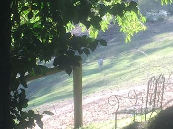 Brentwood Accommodation - Northern Rivers Accommodation 35