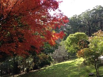 Brentwood Accommodation - Northern Rivers Accommodation 43