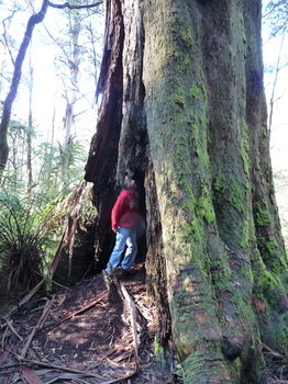 Brentwood Accommodation - Northern Rivers Accommodation 56