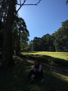 Brentwood Accommodation - Northern Rivers Accommodation 58