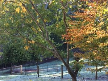 Brentwood Accommodation - Northern Rivers Accommodation 64