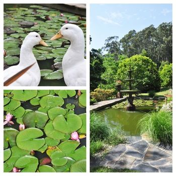 Brentwood Accommodation - Northern Rivers Accommodation 65