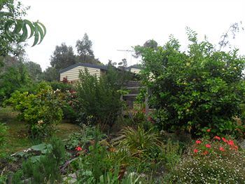 Australian Home Away @ Wonga Park Brushy Creek - Northern Rivers Accommodation 14