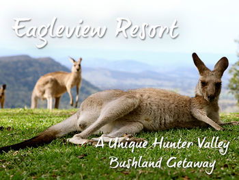 Eagleview Resort - Northern Rivers Accommodation 45