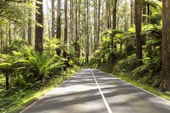 Vibe Hotel Marysville - Northern Rivers Accommodation 19