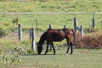 Airport Motel Sir Francis Drake - Northern Rivers Accommodation 17