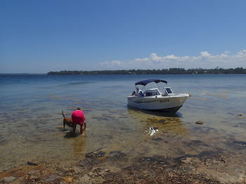 Dungowan Waterfront Apartments - Northern Rivers Accommodation 39