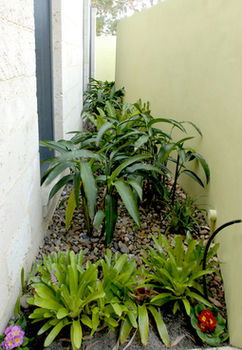 By The Beach B&B And Apartments - Northern Rivers Accommodation 5