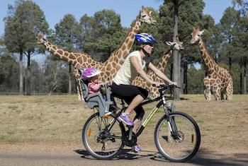Zoofari Lodge, Taronga Western Plains Zoo - Northern Rivers Accommodation 7