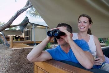 Zoofari Lodge, Taronga Western Plains Zoo - Northern Rivers Accommodation 12