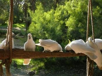 The Burrow At Wombat Bend - Northern Rivers Accommodation 5