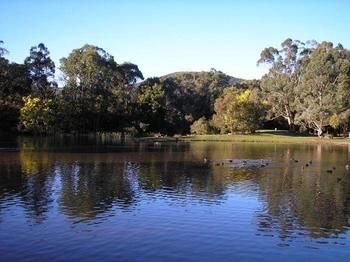 The Burrow At Wombat Bend - Northern Rivers Accommodation 7