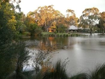 The Burrow At Wombat Bend - Northern Rivers Accommodation 9