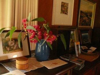 The Burrow At Wombat Bend - Northern Rivers Accommodation 21