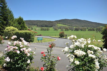 Langbrook Estate Cottages - Northern Rivers Accommodation 15