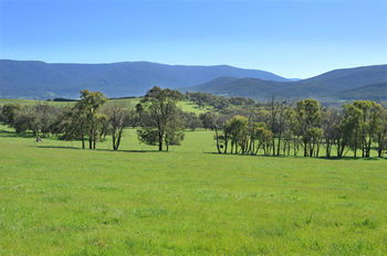 Langbrook Estate Cottages - Northern Rivers Accommodation 16