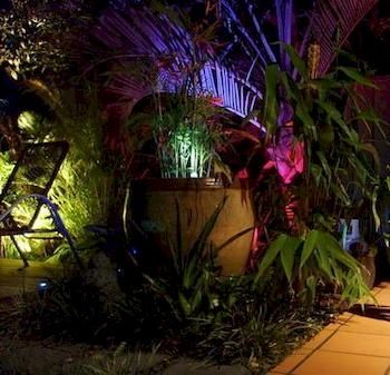 Tantarra Bed And Breakfast - Northern Rivers Accommodation 4