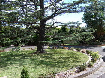 Tantarra Bed And Breakfast - Northern Rivers Accommodation 14