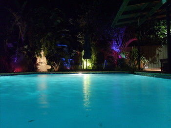 Tantarra Bed And Breakfast - Northern Rivers Accommodation 21