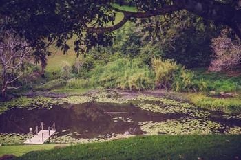 Allara Homestead - Northern Rivers Accommodation 5