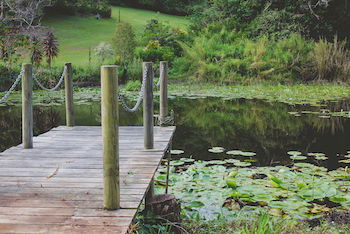 Allara Homestead - Northern Rivers Accommodation 14