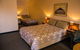 Shearing Shed Motor Inn - thumb 34