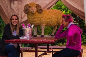 Shearing Shed Motor Inn - Northern Rivers Accommodation 50
