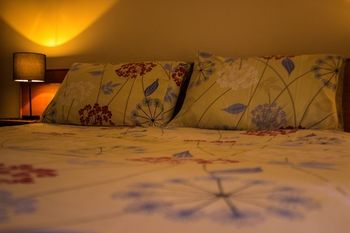 Shearing Shed Motor Inn - Northern Rivers Accommodation 61