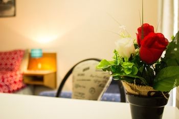 Shearing Shed Motor Inn - Northern Rivers Accommodation 67