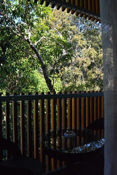 Melrose Apartments - Northern Rivers Accommodation 8