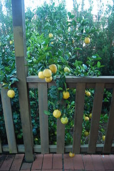 Highclaire House Bed And Breakfast - Northern Rivers Accommodation 28