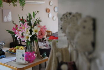 Highclaire House Bed And Breakfast - Northern Rivers Accommodation 32