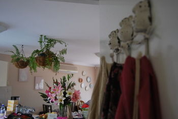 Highclaire House Bed And Breakfast - Northern Rivers Accommodation 35