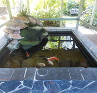 The Willows - Northern Rivers Accommodation