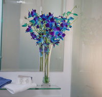 Grand Hotel Wyong - Northern Rivers Accommodation