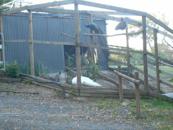 A Twist Of Willow - Northern Rivers Accommodation 20