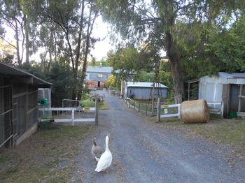 A Twist Of Willow - Northern Rivers Accommodation 21