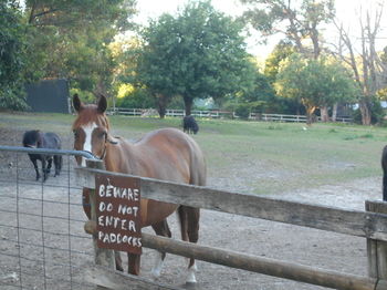 A Twist Of Willow - Northern Rivers Accommodation 26