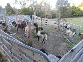 A Twist Of Willow - Northern Rivers Accommodation 27