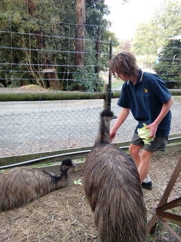 A Twist Of Willow - Northern Rivers Accommodation 30