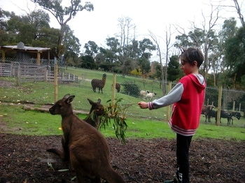 A Twist Of Willow - Northern Rivers Accommodation 32