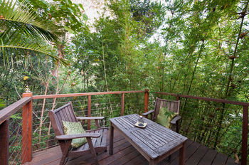Alaya Escape - Northern Rivers Accommodation 28
