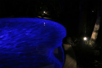 Alaya Escape - Northern Rivers Accommodation 34