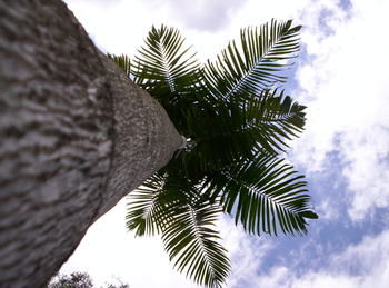 Alaya Escape - Northern Rivers Accommodation 39