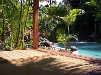 Alaya Escape - Northern Rivers Accommodation 41