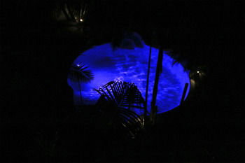 Alaya Escape - Northern Rivers Accommodation 44