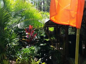 Alaya Escape - Northern Rivers Accommodation 53