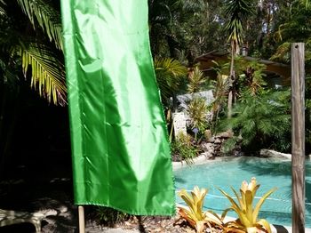 Alaya Escape - Northern Rivers Accommodation 54